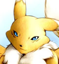   renamon